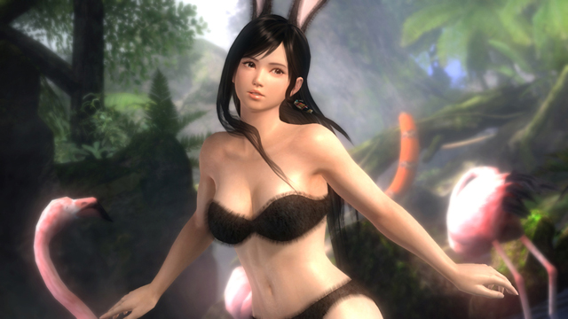 Dead Or Alive 5 Official Site 