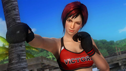 dead or alive 6 charater roster