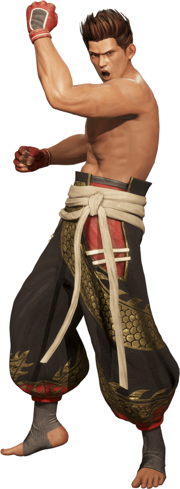 DEAD OR ALIVE 6 CHARACTERS JANN LEE