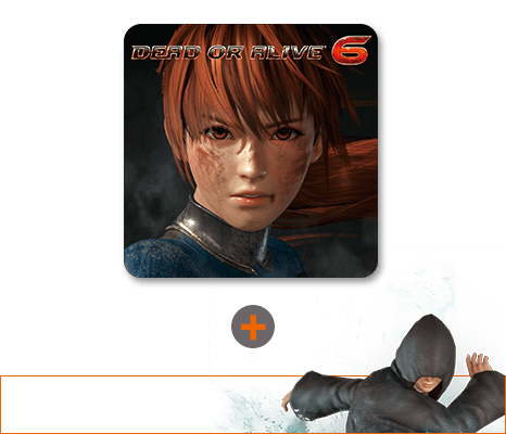 DEAD OR ALIVE 6 Official Visual Book DOA6