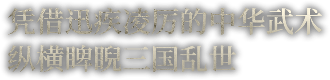 凭借迅疾凌厉的中华武术纵横睥睨三国乱世