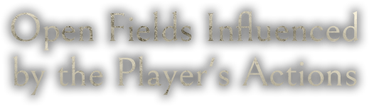 Open Fields Influenced by the Player's Actions