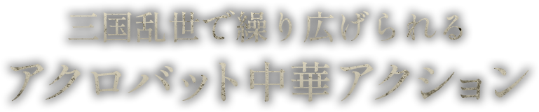 三国乱世で繰り広げられるアクロバット中華アクション