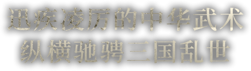 三国乱世で繰り広げられるアクロバット中華アクション